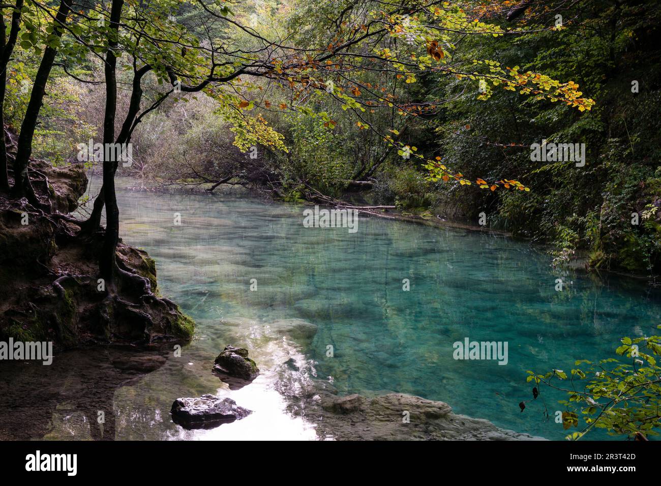 nacedero del rio Urederra, parque natural de Urbasa-Andia,comunidad foral de Navarra, Spain. Stock Photo
