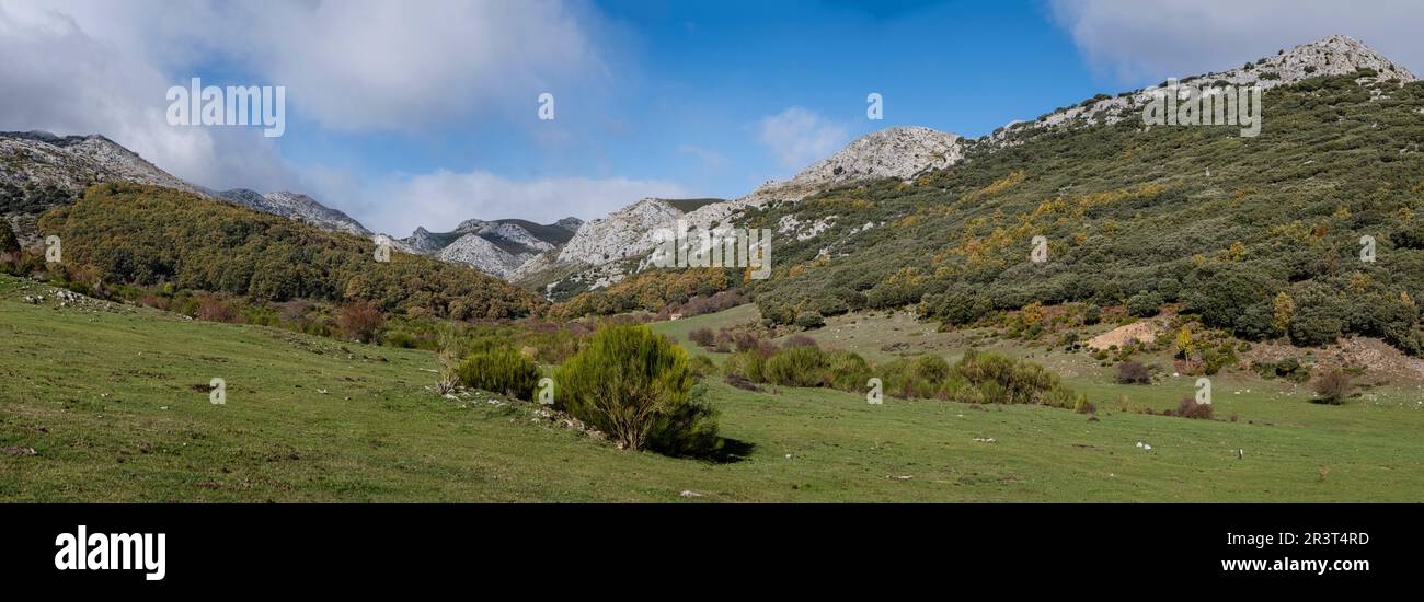 Tosande valley. Fuentes Carrionas Natural Park, Fuente Cobre- Palentina Mountain. Palencia, Spain. Stock Photo