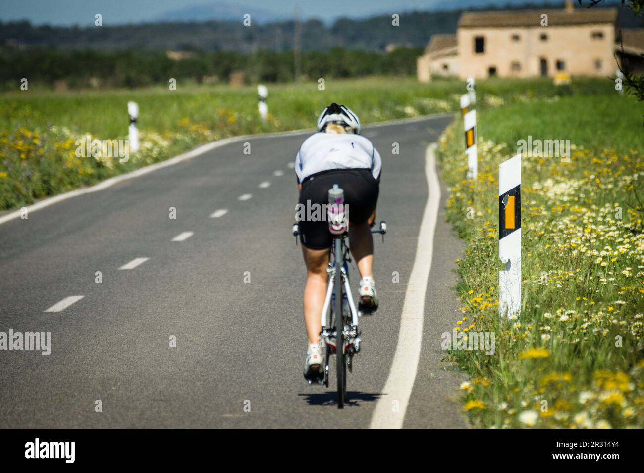 ciclistas en la carretera de Es Trenc, Campos del Puerto , Mallorca,Islas Baleares,Spain. Stock Photo