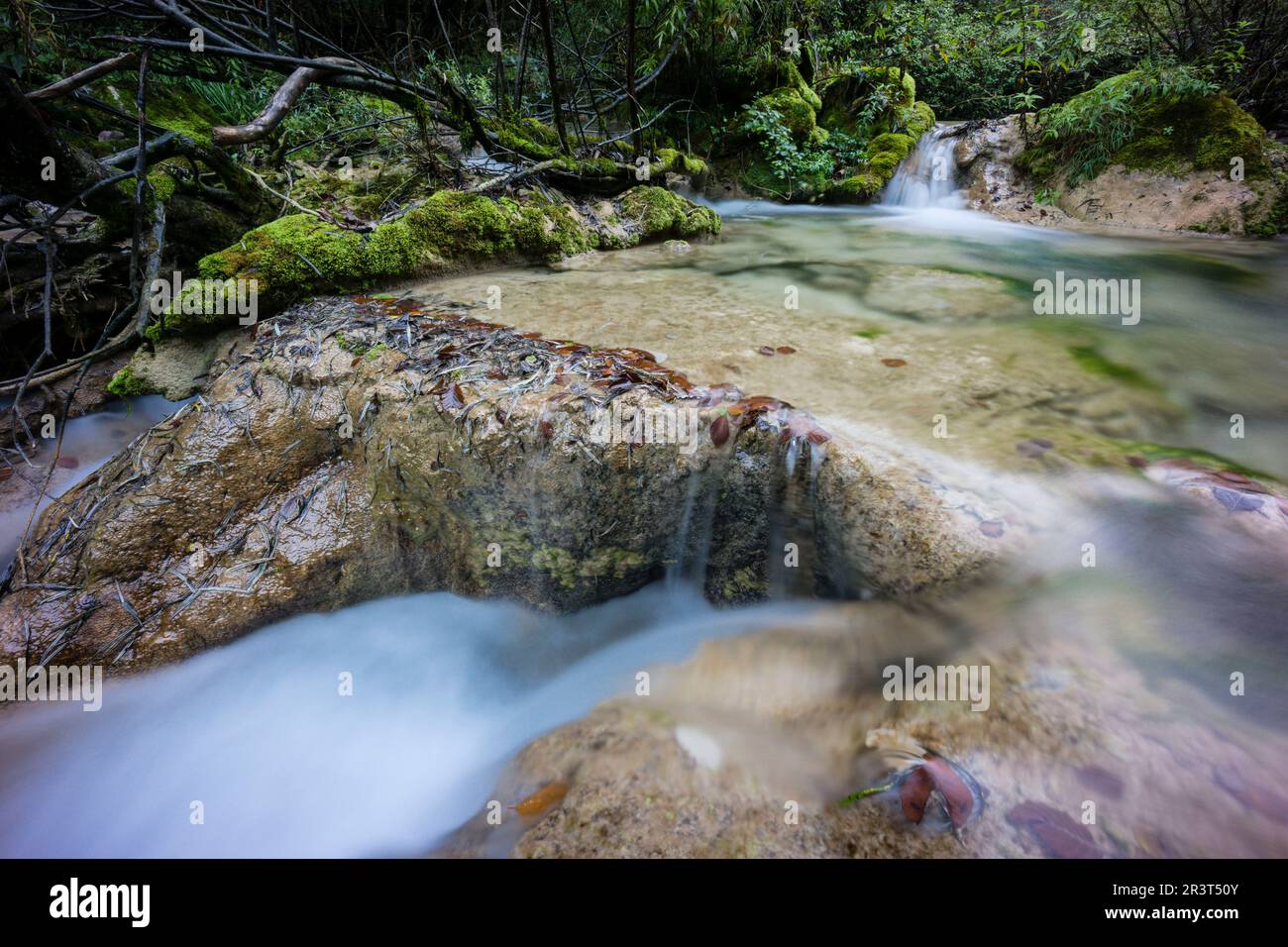 nacedero del rio Urederra, parque natural de Urbasa-Andia,comunidad foral de Navarra, Spain. Stock Photo