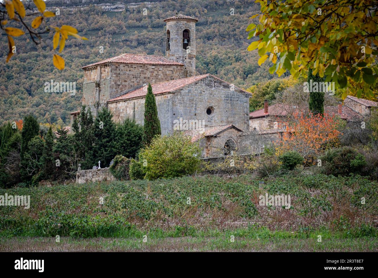 San Martín de Elines, Valderredible region, Cantabria, Spain Stock