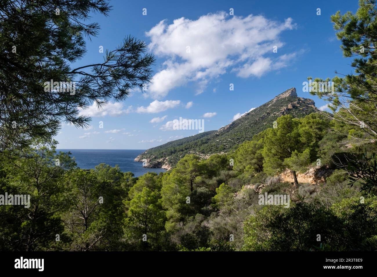 Na Miranda road, Sa Dragonera natural park,Mallorca, Balearic Islands, Spain. Stock Photo