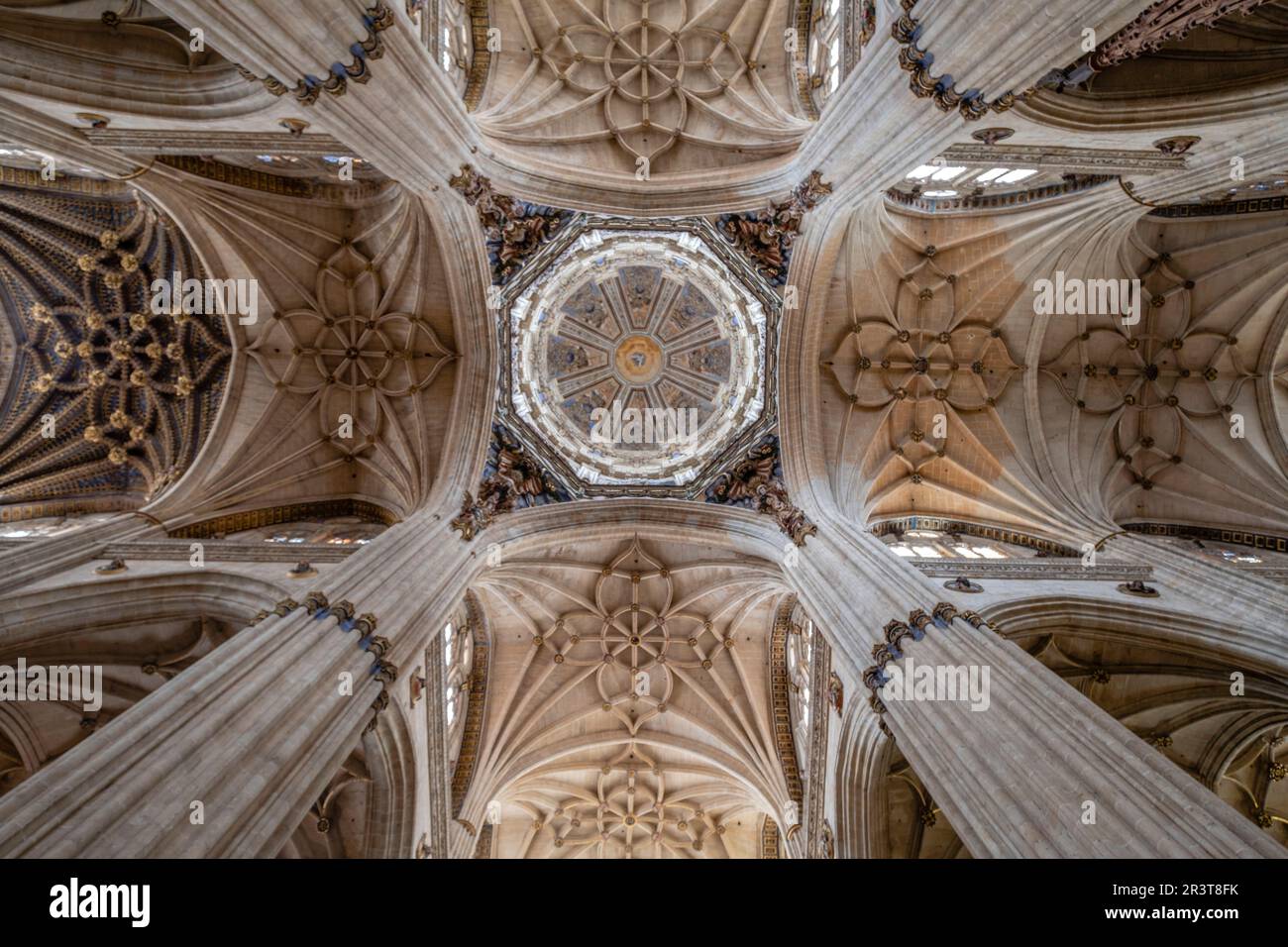 Crucero de la catedral, Catedral de la Asunción de la Virgen, Salamanca, comunidad autónoma de Castilla y León, Spain. Stock Photo