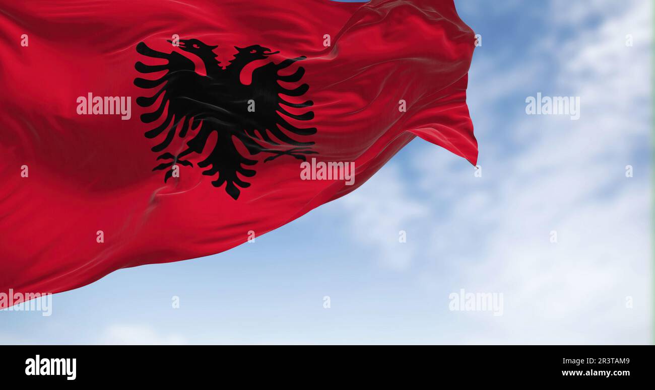 Albanian Two-headed Eagle Flag Graphic Aviator Framed Glasses