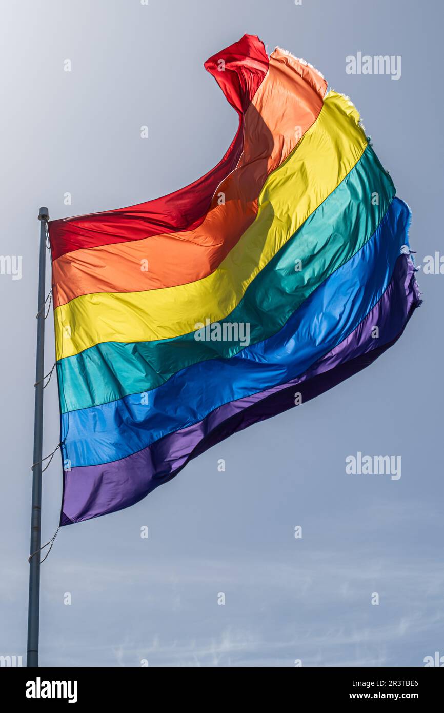 Rainbow flag blowing in the wind in the Castro District San Francisco Stock  Photo - Alamy, image size:866x1390