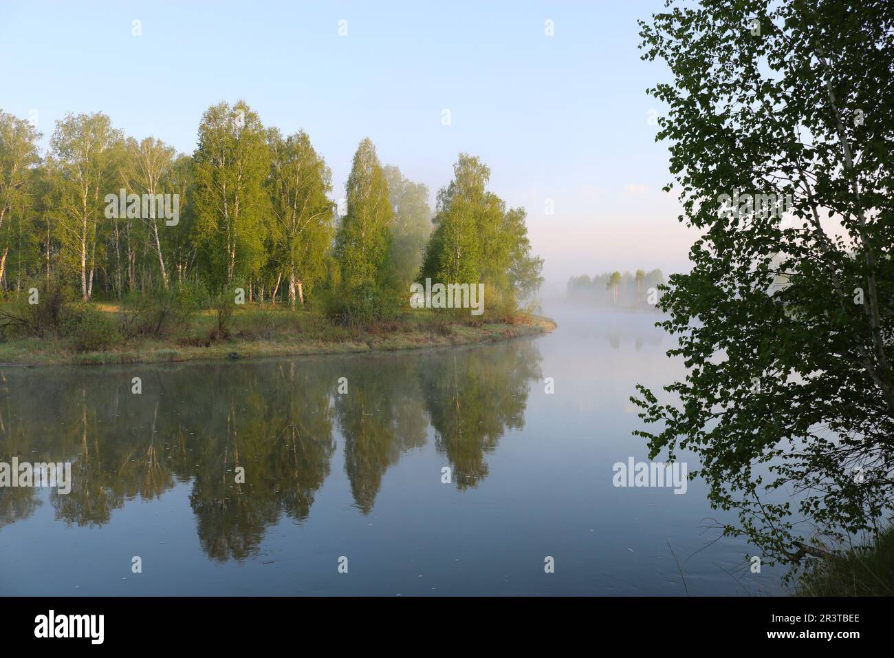 Summer morning on the river with fog, birches on the shore. Travel outdoors. Stock Photo