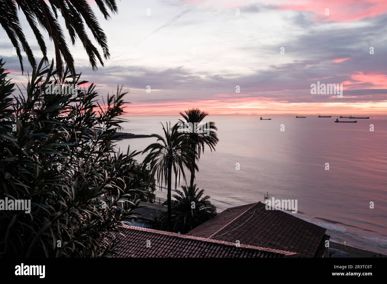Palm tree near ocean sunset hi-res stock photography and images - Alamy