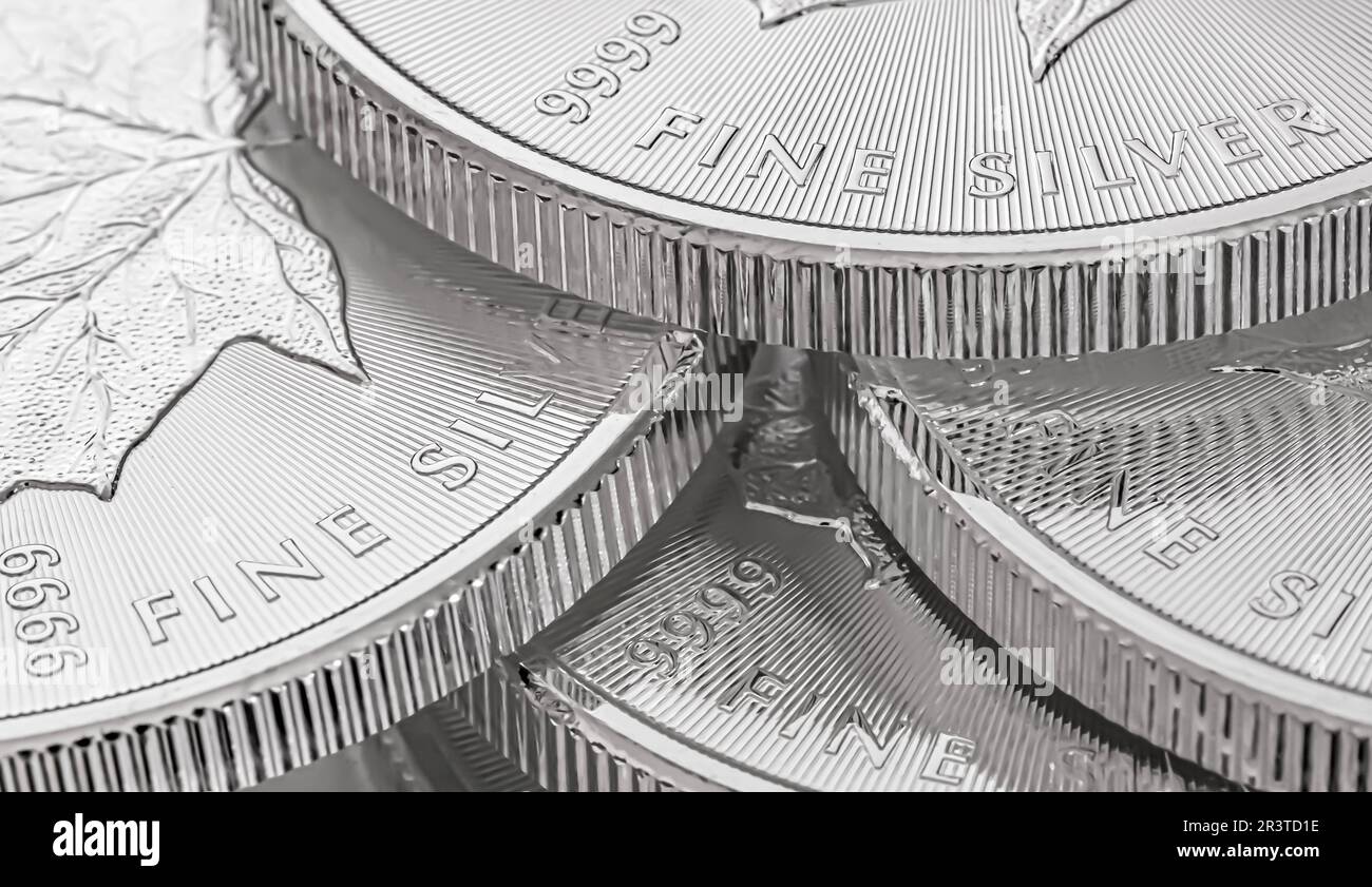Macro Close up of a Silver Canadian Maple Leaf Bullion Coin Stock Photo