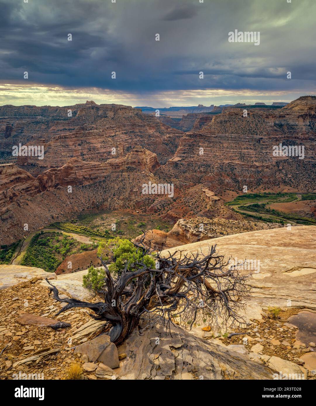 The Little Grand Canyon, San Rafael Swell, Utah Stock Photo