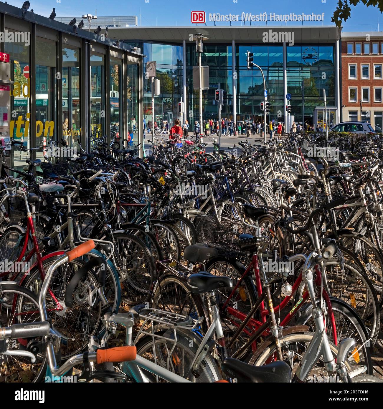 Very many bicycles at the main station, bicycle capital, Muenster ...