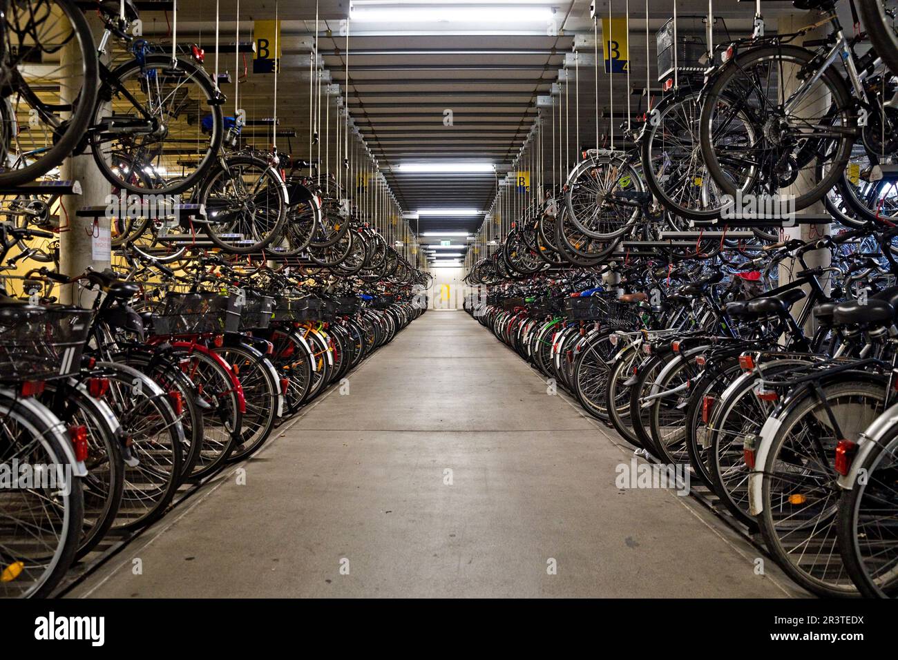 Very many bicycles in the bicycle parking garage of the Radstation
