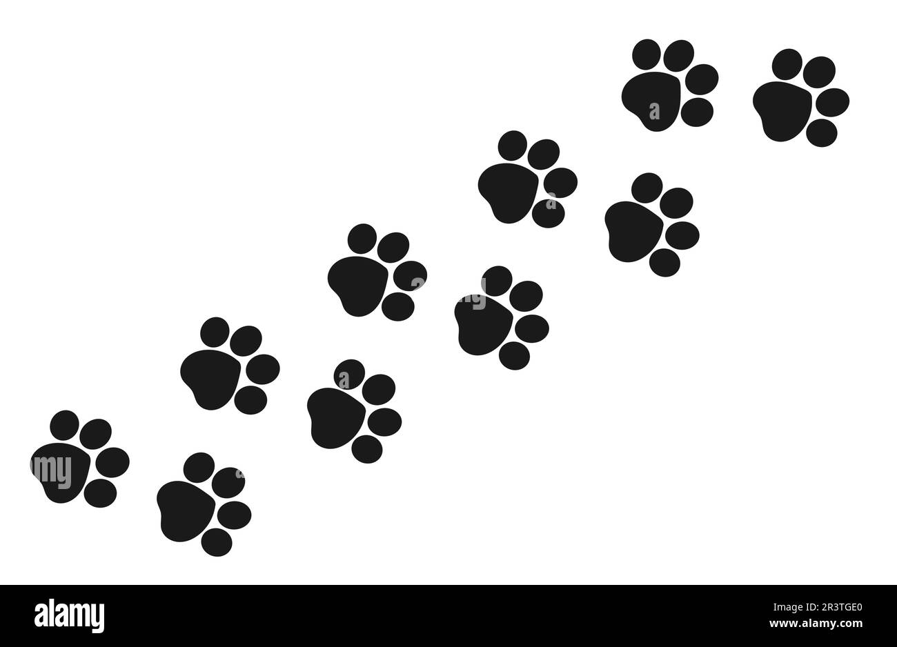 Paw prints trail of a cat isolated on white background. Vector