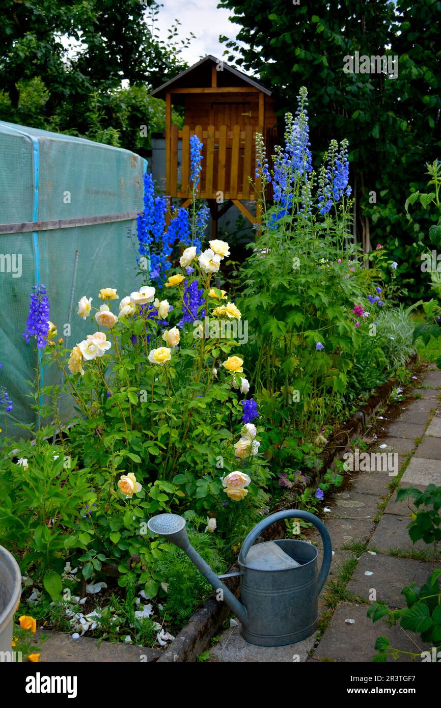 Flowering perennial garden Stock Photo Alamy
