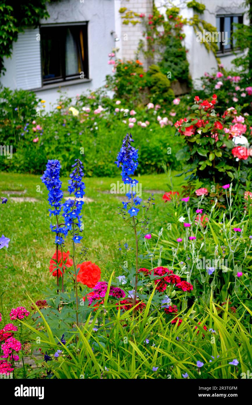 Flowering perennial garden Stock Photo Alamy