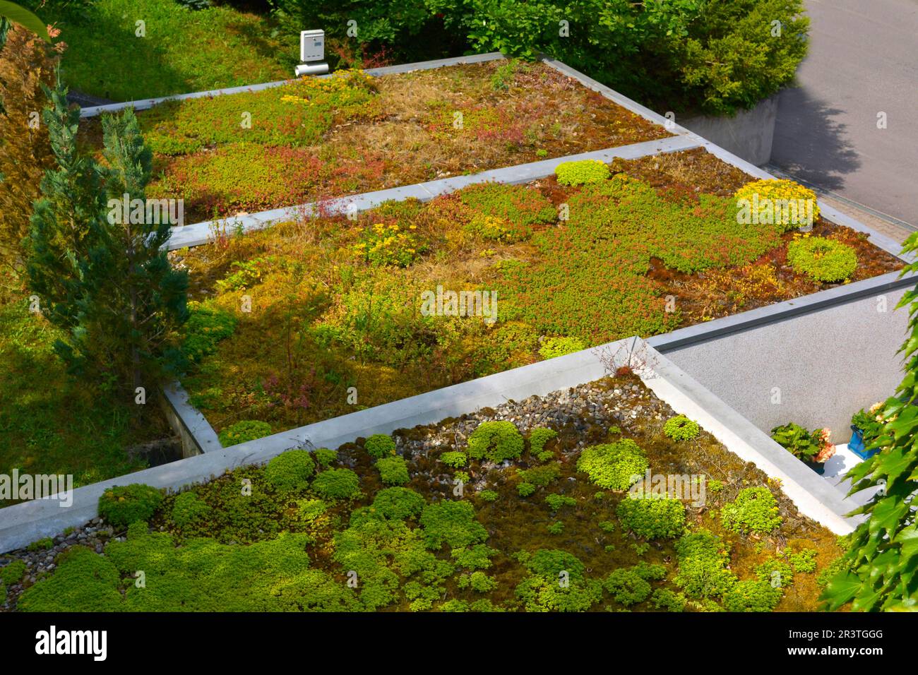 Green planted roof hi-res stock photography and images - Alamy