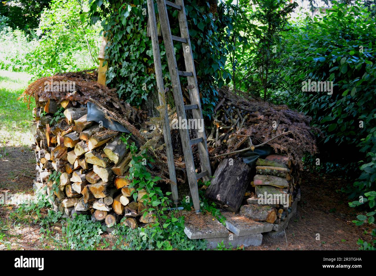Firewood store in the garden Stock Photo - Alamy