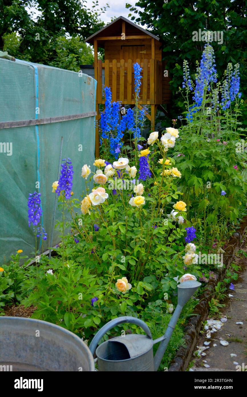 Flowering perennial garden Stock Photo Alamy