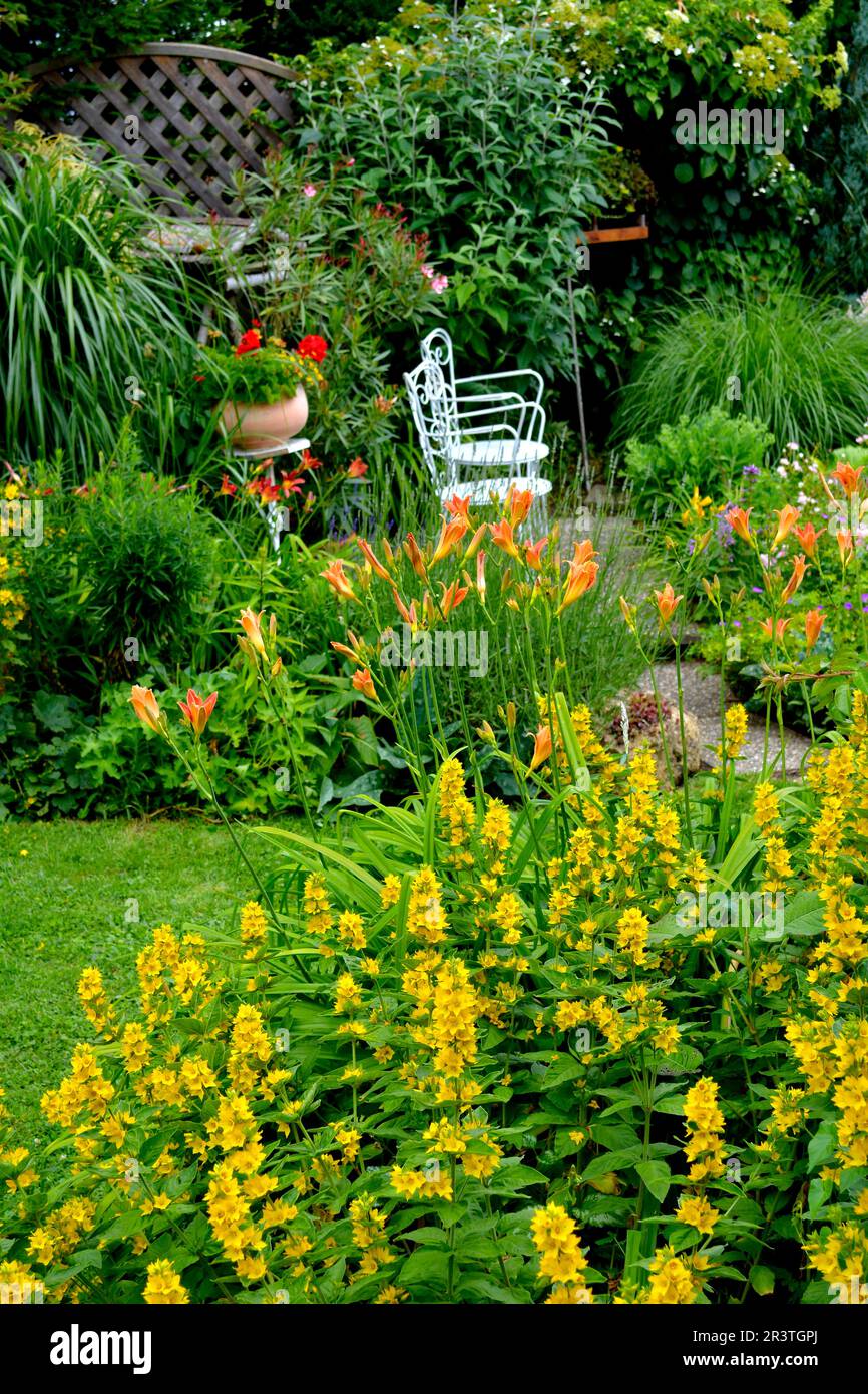 Flowering garden in summer, seating area in the garden with white chairs Stock Photo