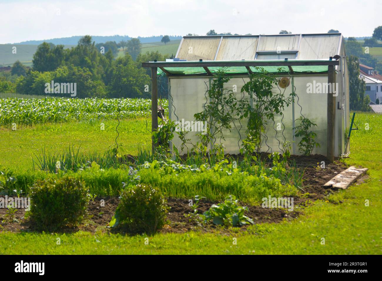 Vegetable garden with greenhouse Stock Photo - Alamy