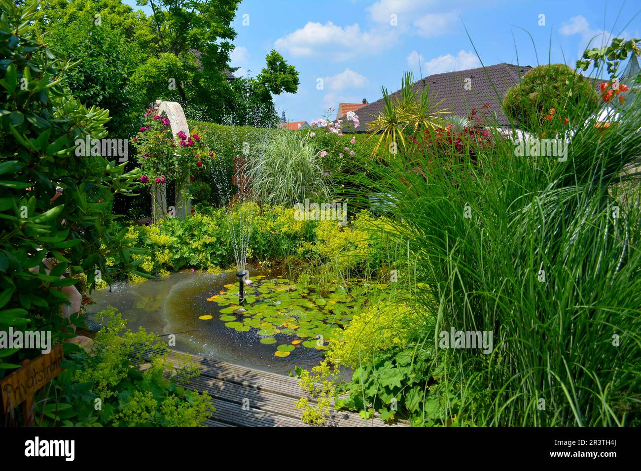 Water lily pond in the garden, beautiful garden in summer, ornamental garden Stock Photo