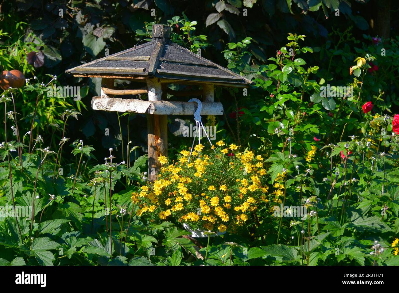 Birdhouse with hanging plant flowering Stock Photo