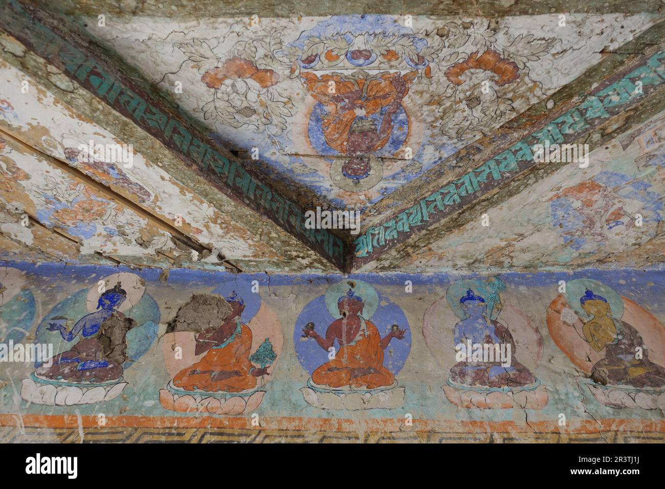Buddhist Paintings on the Ceiling at Stok Palace, Ladakh Stock Photo