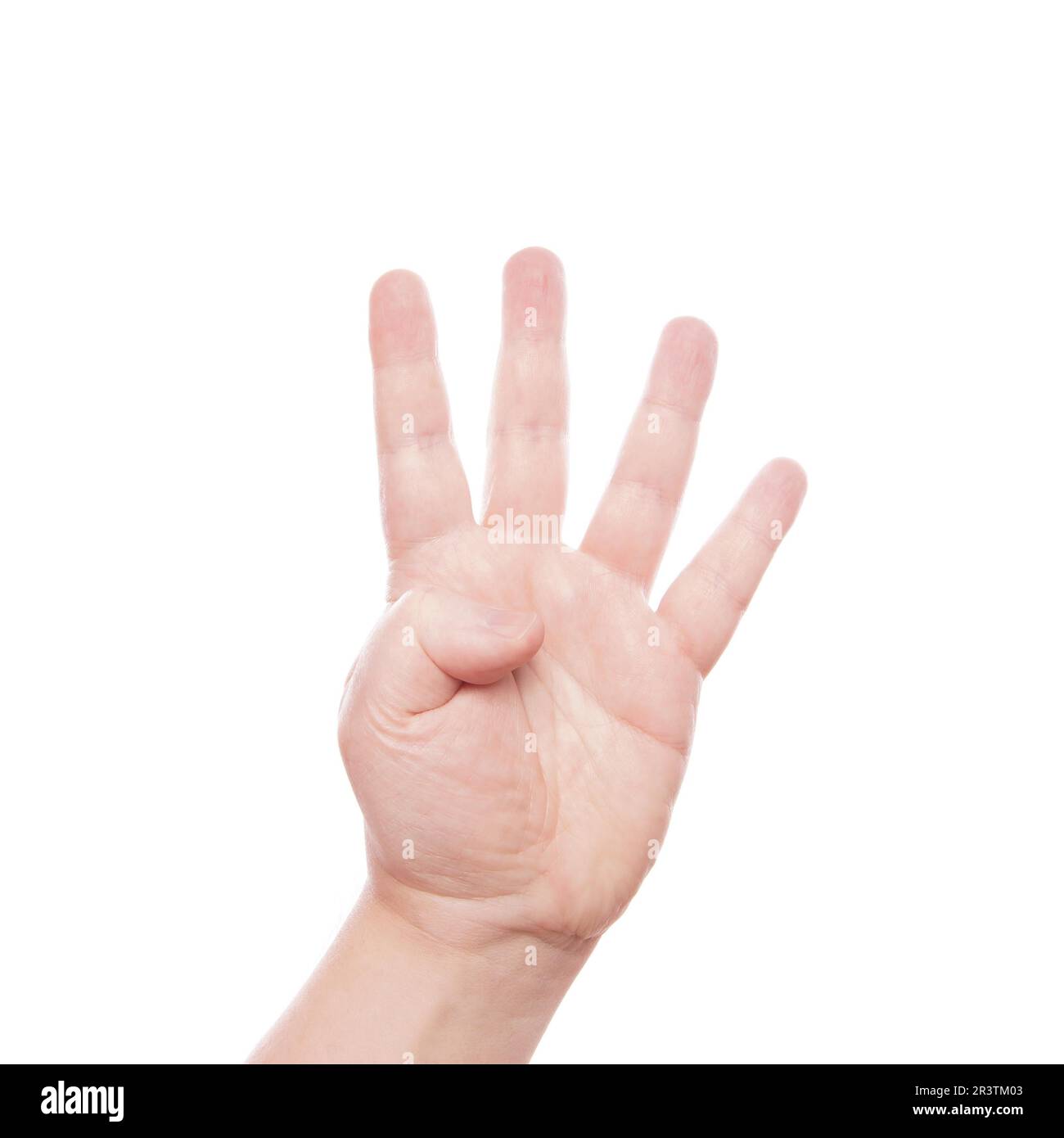 My Image 31