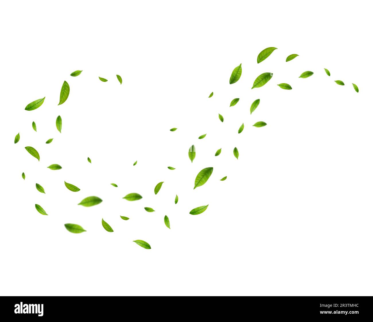 Realistic green tea leaves in motion Stock Vector Image & Art - Alamy