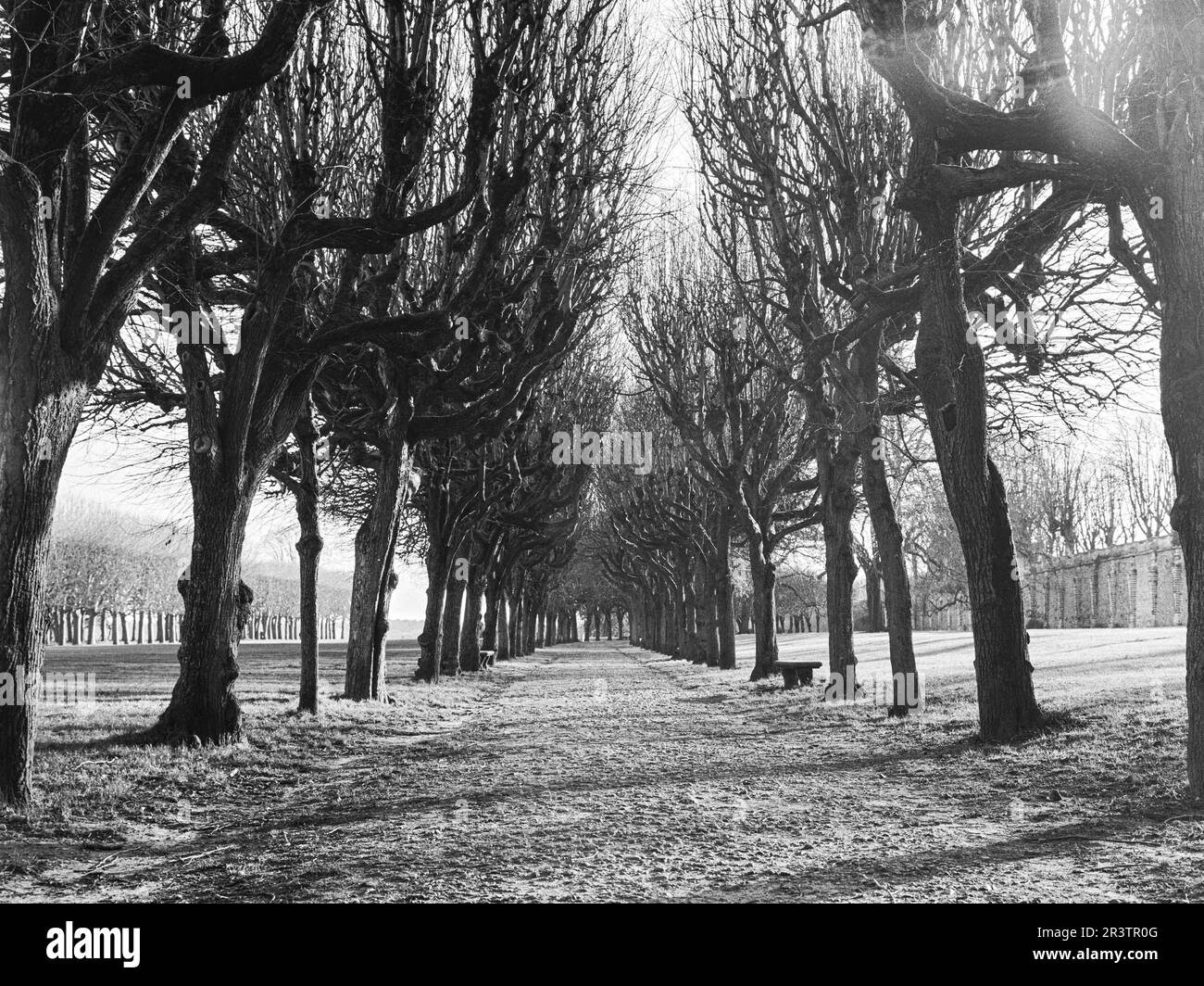Paris observatory Black and White Stock Photos & Images - Alamy