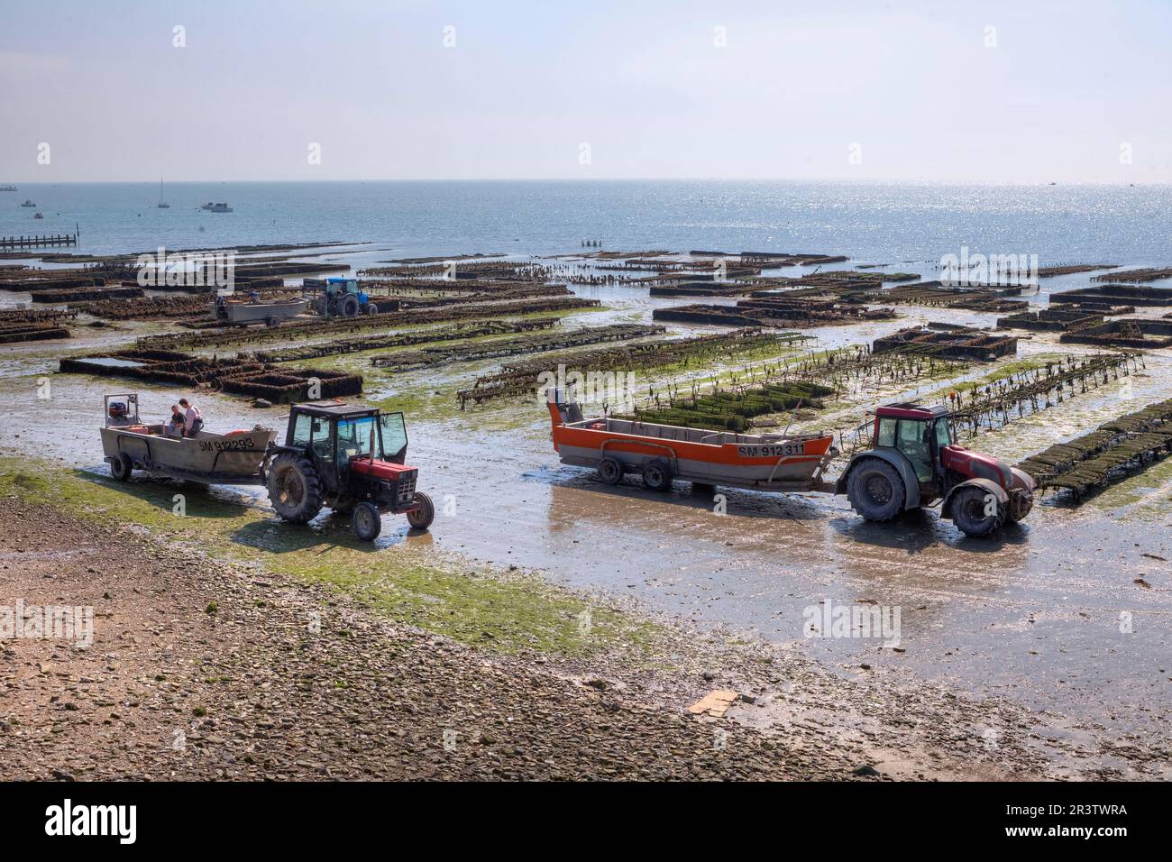 Oyster Farm in Cancale, Brittany, Oyster Farm, France Stock Photo Alamy