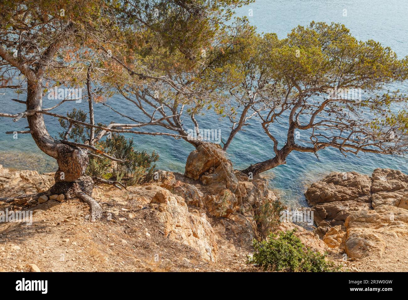 Giove, Il Cavaliere Silenzioso Che Protegge Il Nostro Pianeta | Insieme - Foto 5