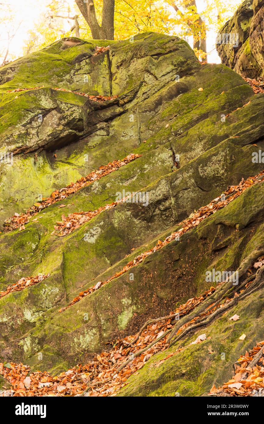 Tecklenburg, witch kitchen, rocks, Tecklenburger Land, North Rhine