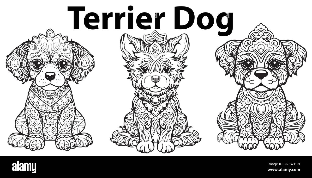 A black and white drawing dog set collection of coloring page vectors. Stock Vector