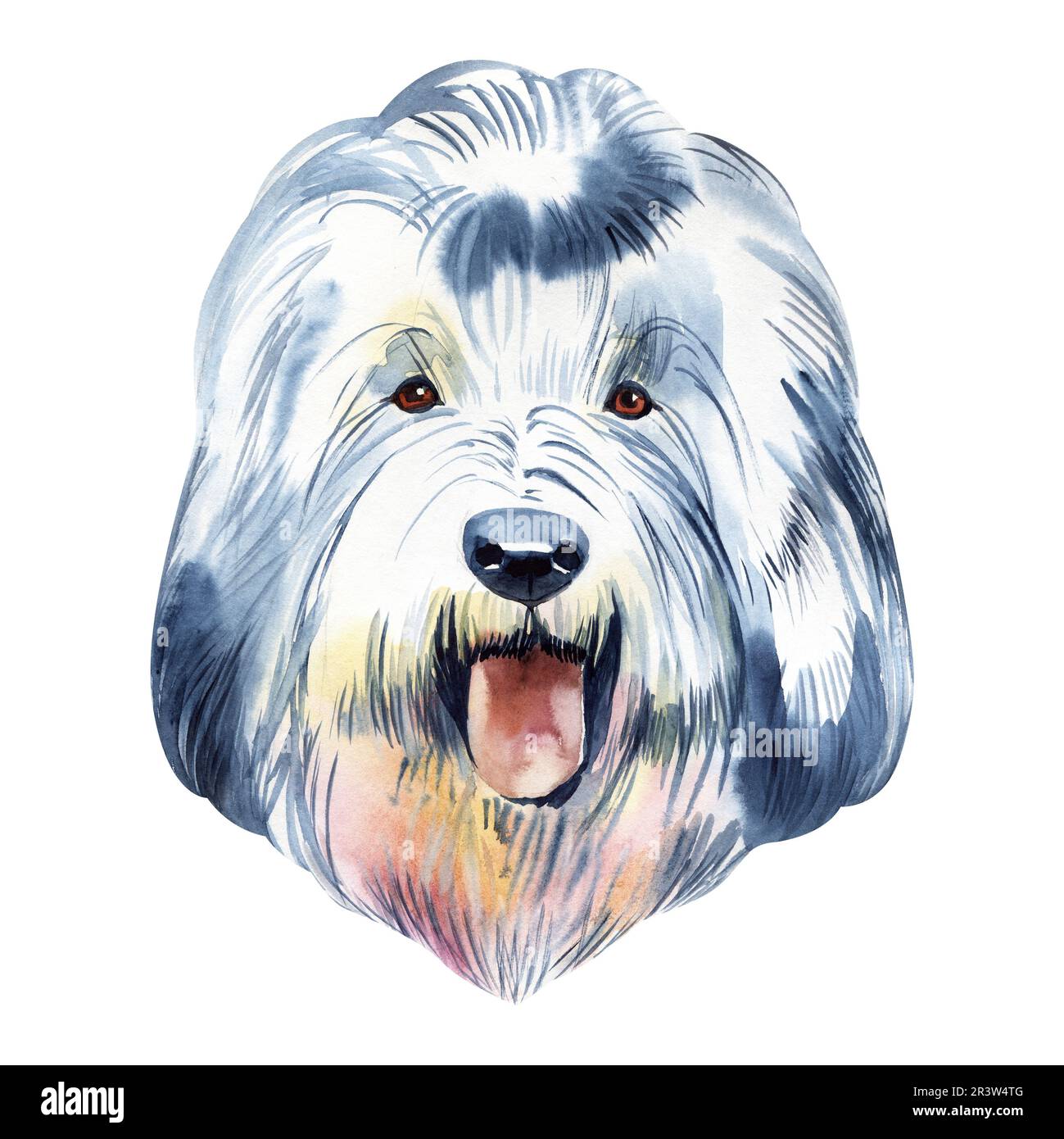 Old English Sheepdog Stock Vector Image & Art - Alamy