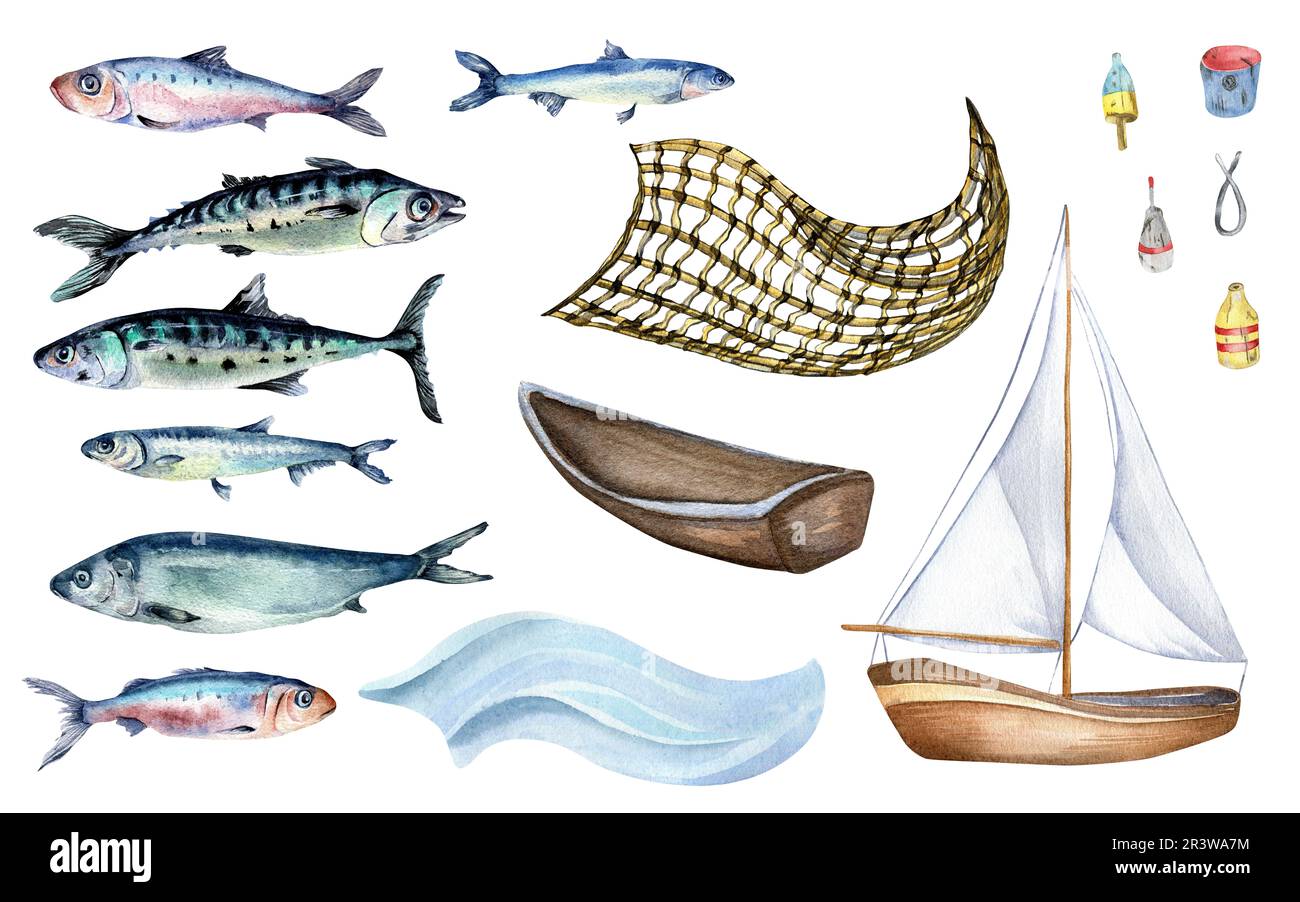 Set of various fresh sea fish watercolor illustration isolated on white