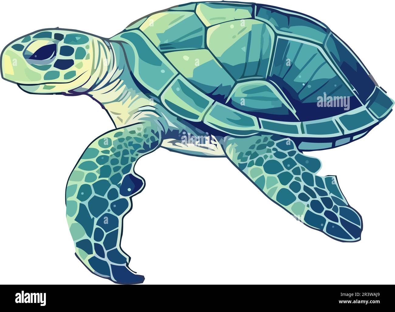 Cute sea turtle aquatic animal Stock Vector Image & Art - Alamy
