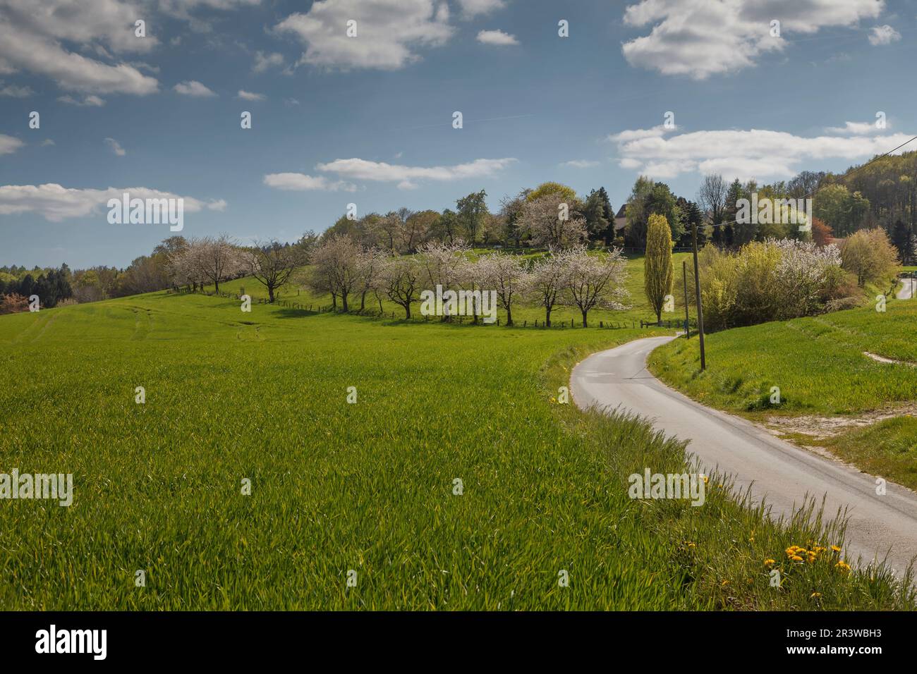 Landscape broadleaved trees in hi-res stock photography and images - Alamy