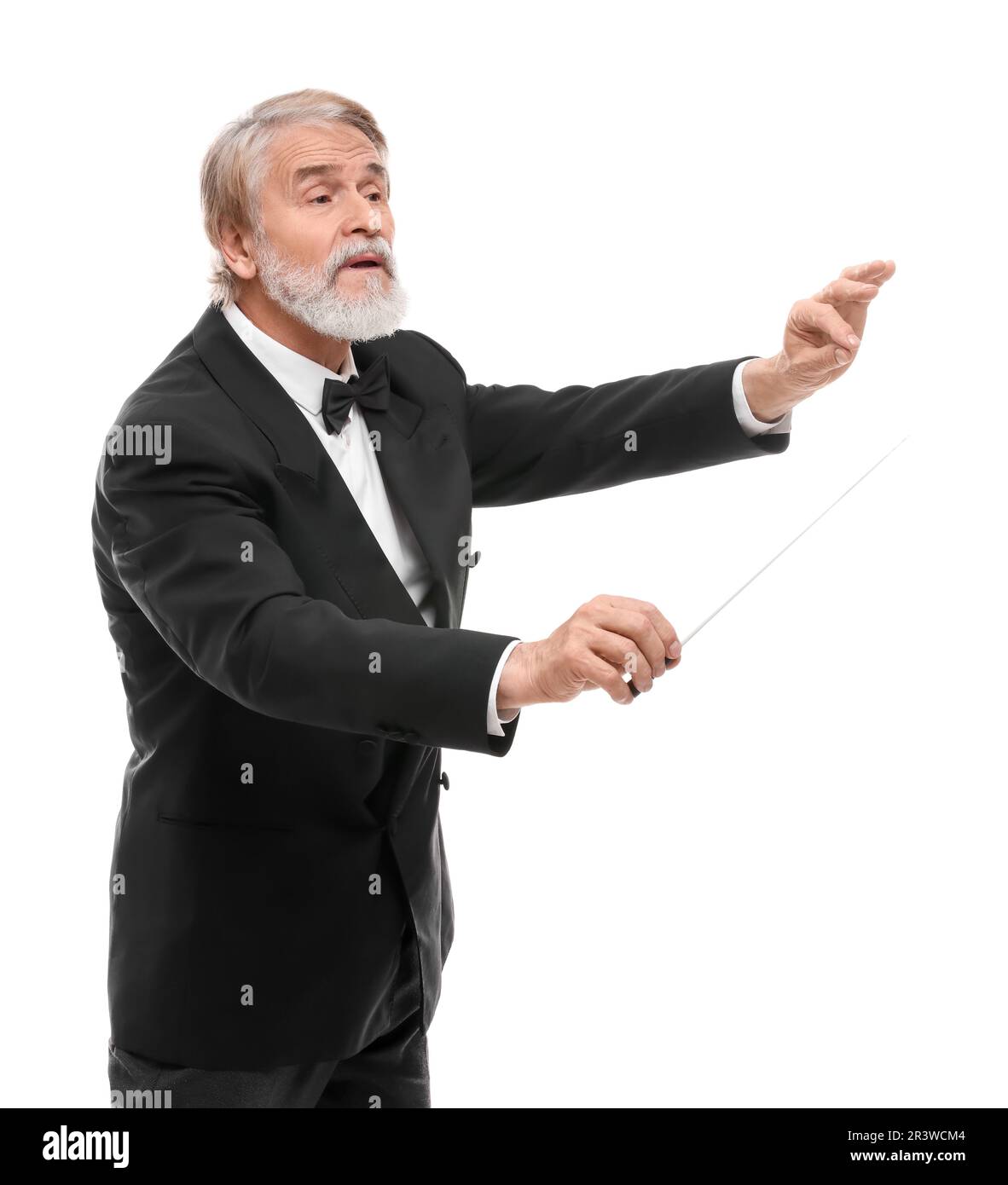 Professional conductor with baton on white background Stock Photo Alamy