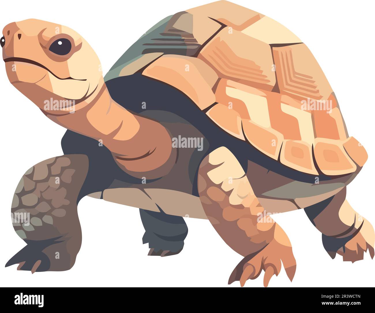 Slow and steady tortoise walking Stock Vector Image & Art - Alamy