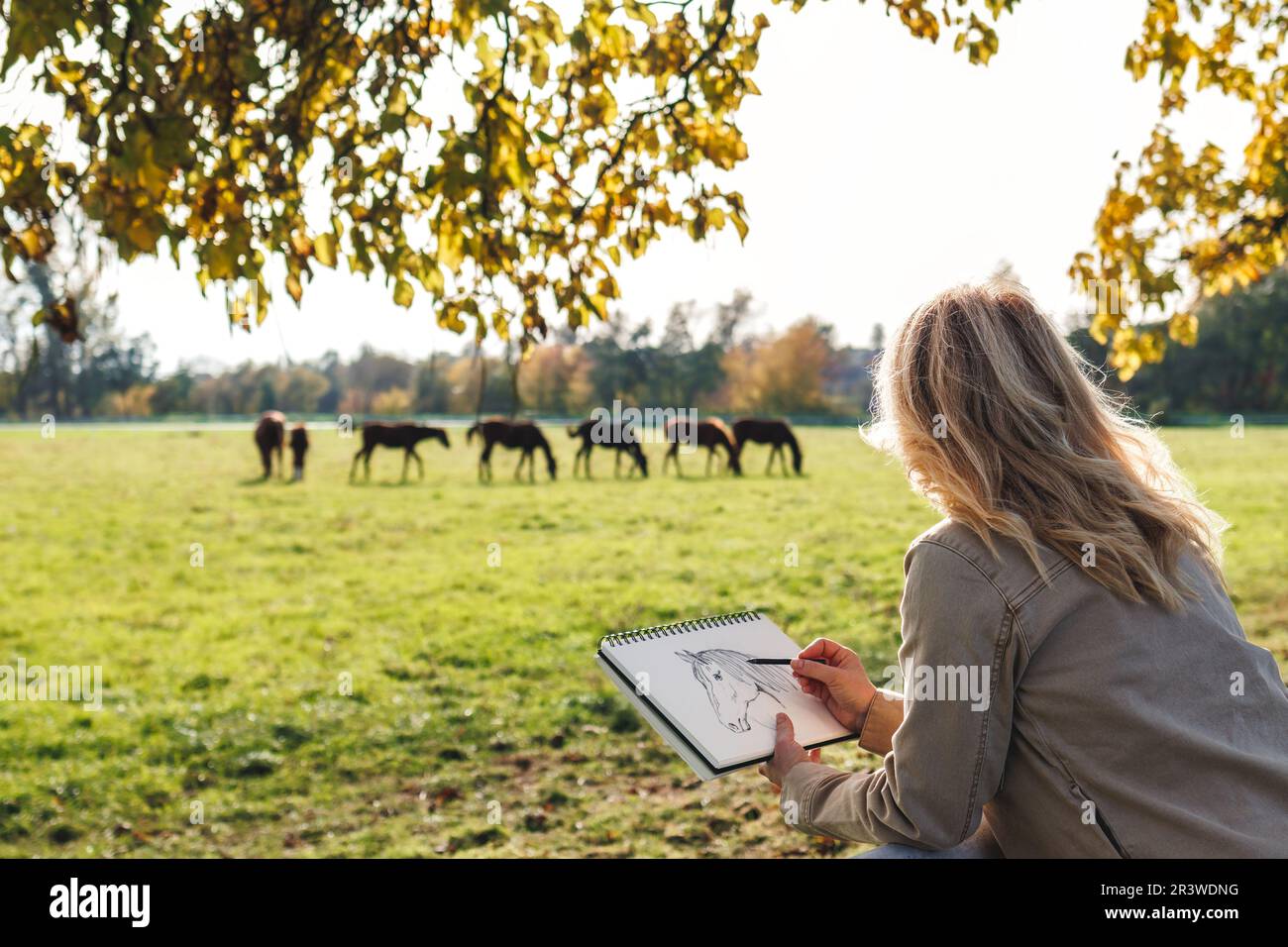 Woman artist sketching horse in autumn outdoors. Pencil drawing. Female illustrator looking for inspiration on animal farm Stock Photo