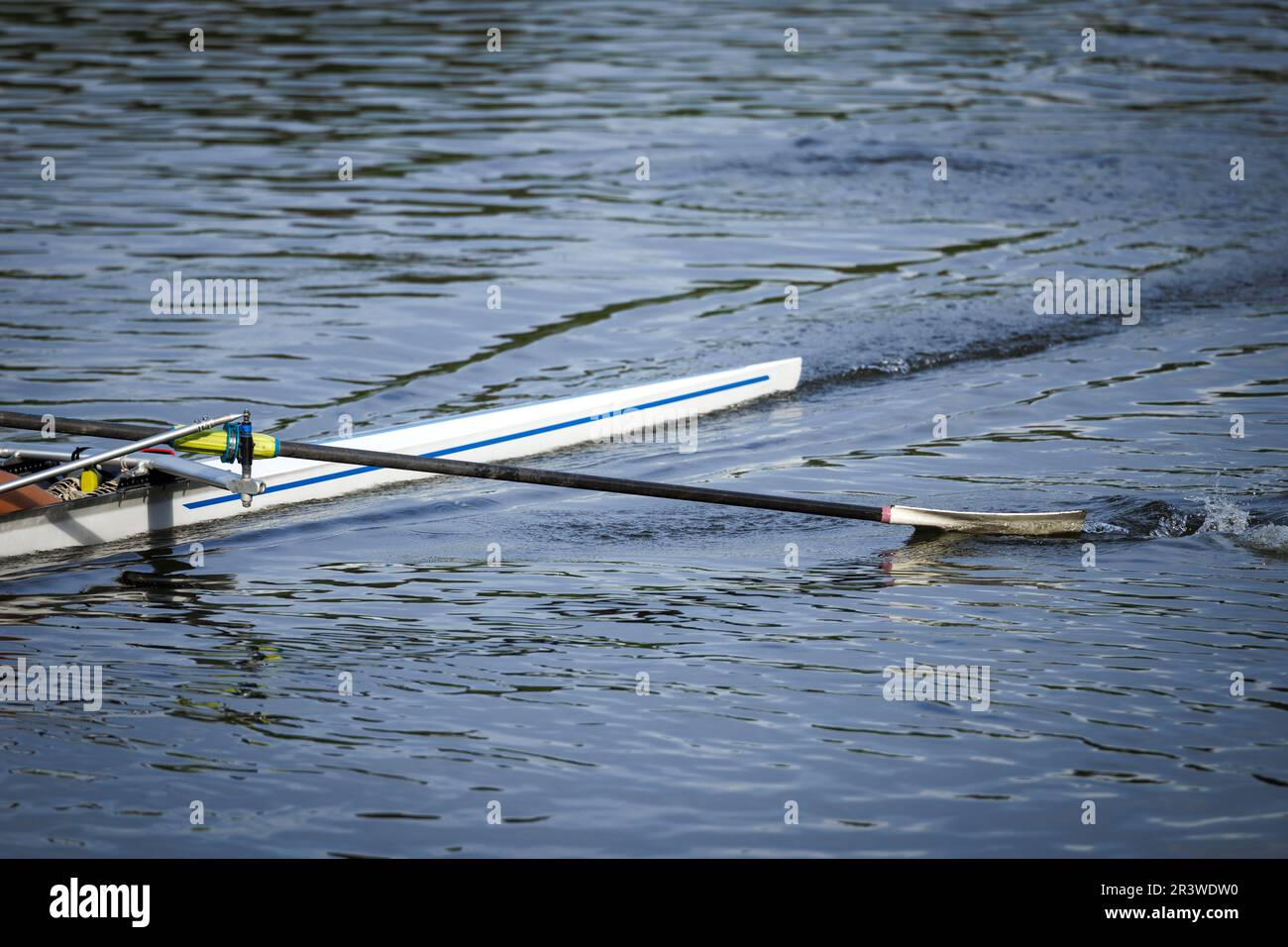 Oar paddle splashing water. Single scull man rower rowing on river