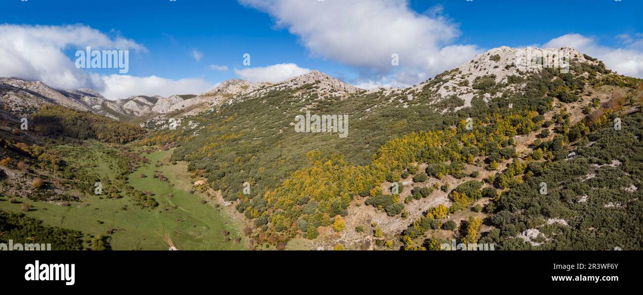 Tosande valley. Fuentes Carrionas Natural Park Stock Photo