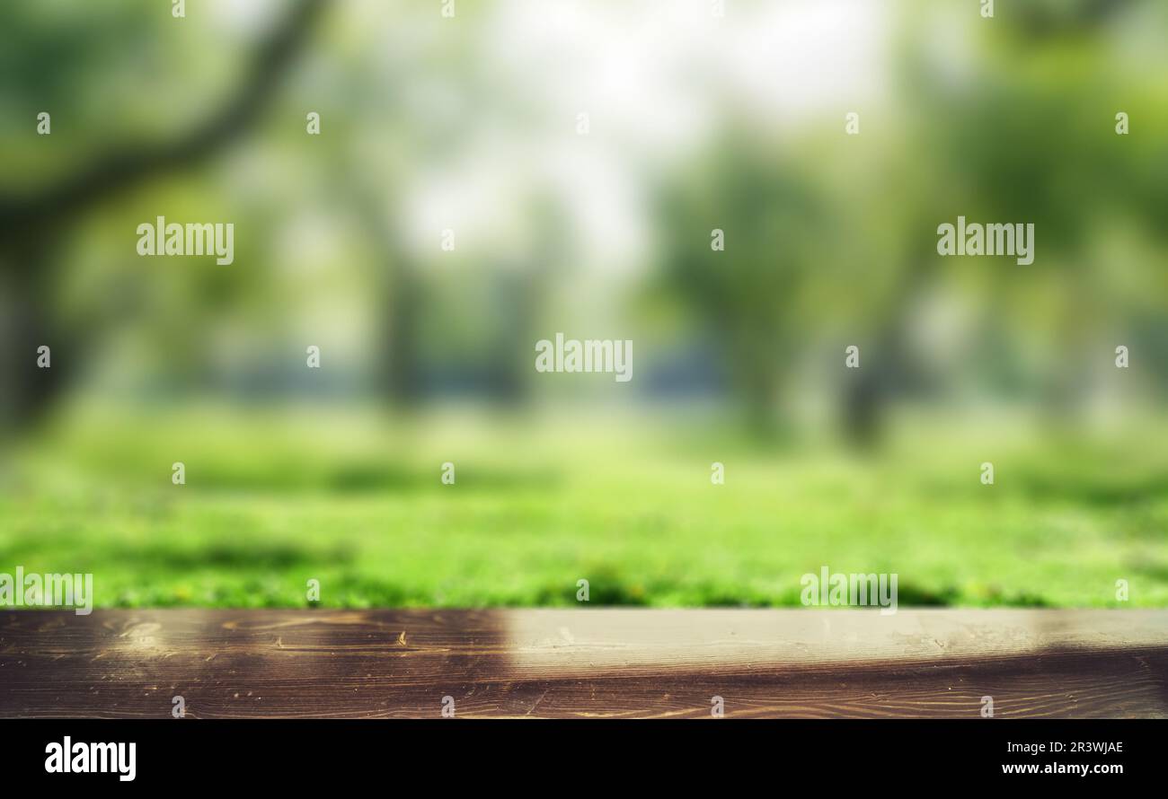 Park blur background. Summer day nature landscape Stock Photo - Alamy