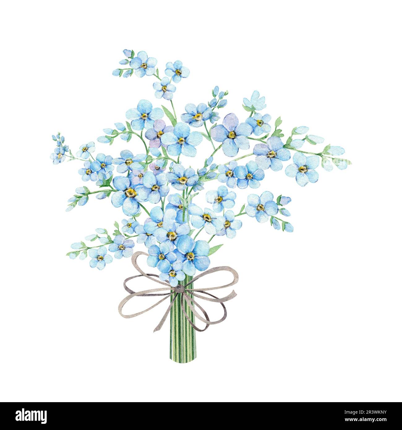 Blue floral bouquet with bow. Spring flowers Scorpion