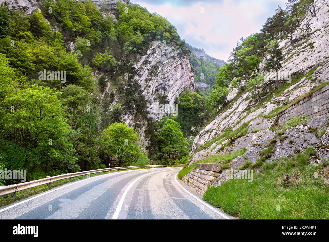 Road in rocky mountains in spring. Beautiful mountain curved roadway, trees with green foliage and overcast sky. Traveling trough landscape in Swiss J Stock Photo