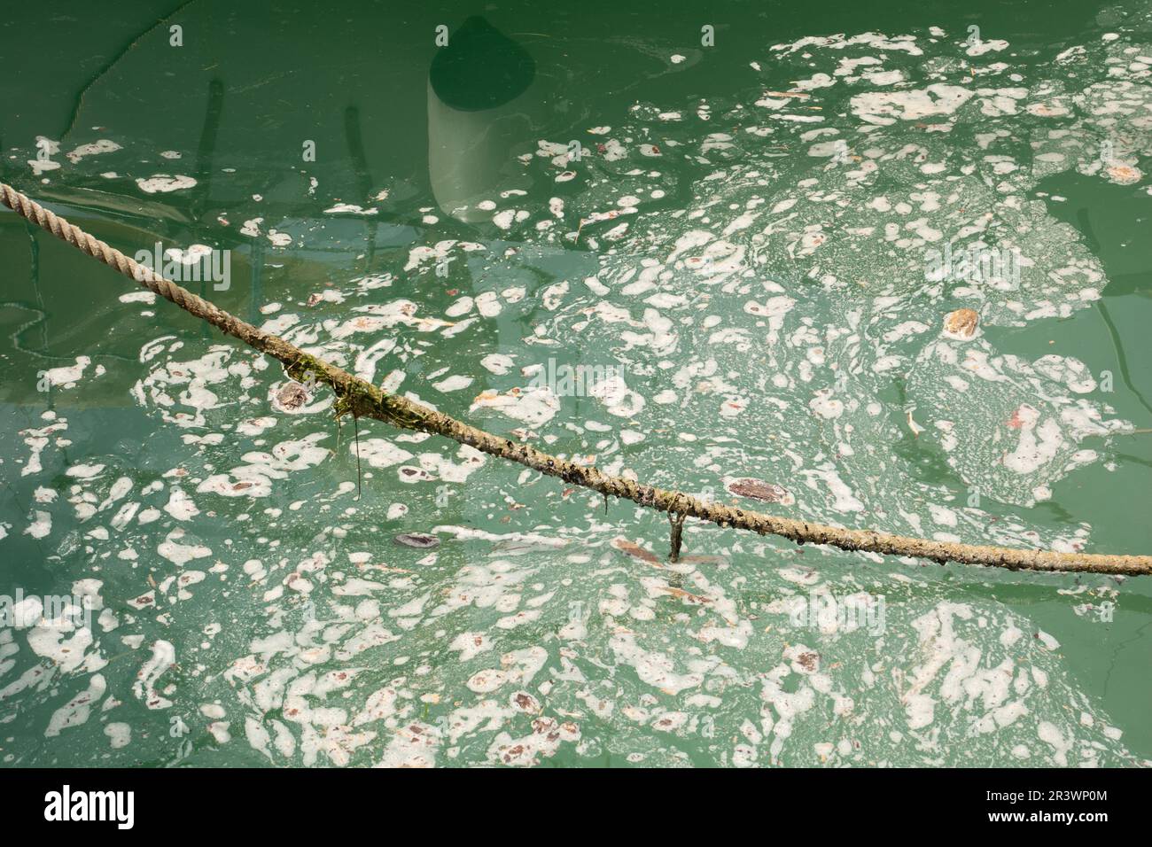 hanging rope over heavily polluted sea water in a port Stock Photo - Alamy