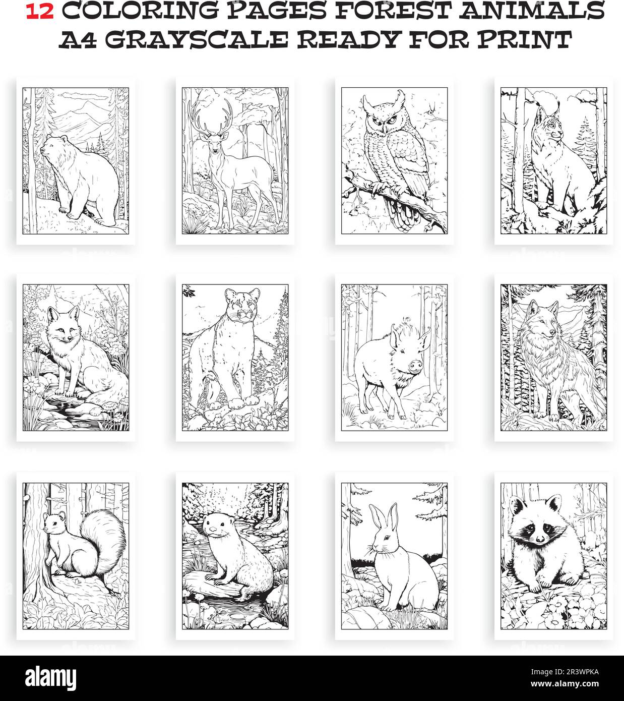 Forest animals coloring book, vector. 12 coloring pages illustration