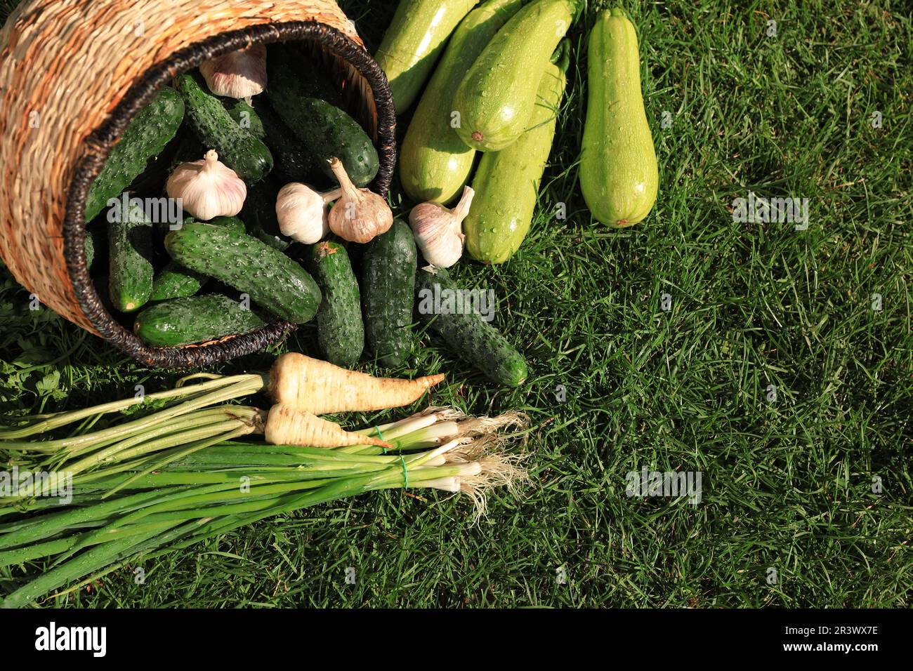 Scattered fresh ripe vegetables and wicker basket on green grass, top ...