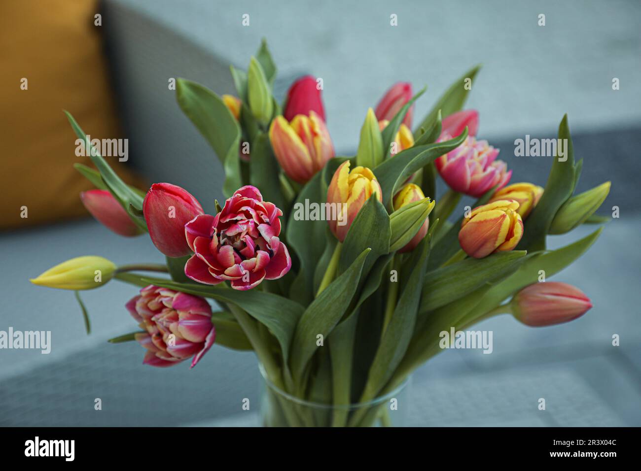 Beautiful bouquet of colorful tulips on blurred background Stock Photo