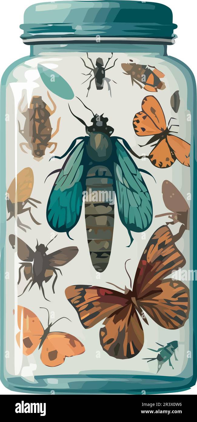 group of insects in jar Stock Vector Image & Art Alamy